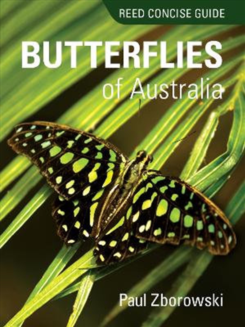 Reed Concise Guide -Butterflies Of Australia/Product Detail/Reading