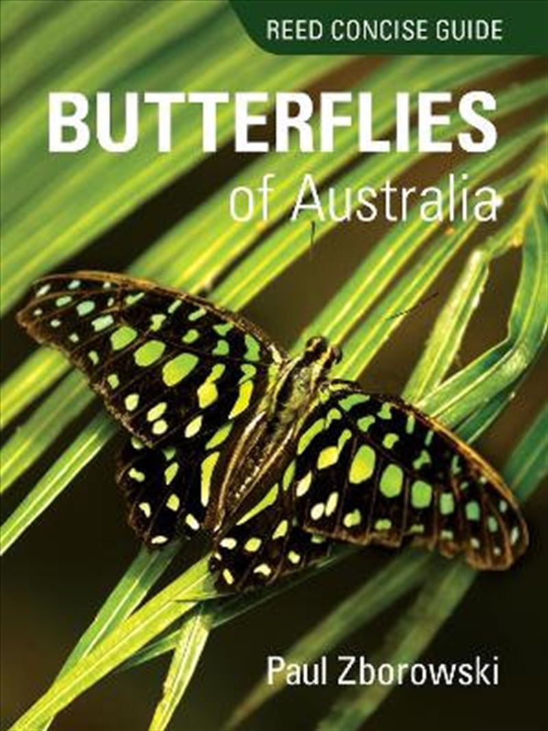 Reed Concise Guide: Butterflies of Australia/Product Detail/Reading