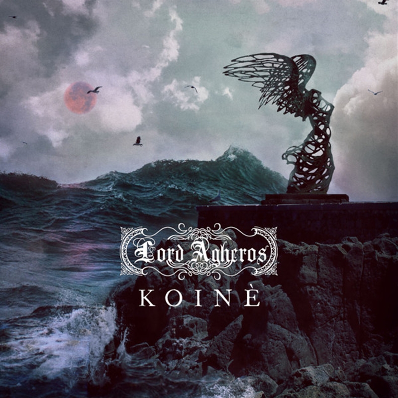 Koine/Product Detail/Rock/Pop