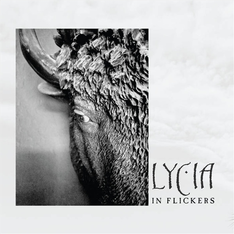 In Flickers/Product Detail/Rock/Pop