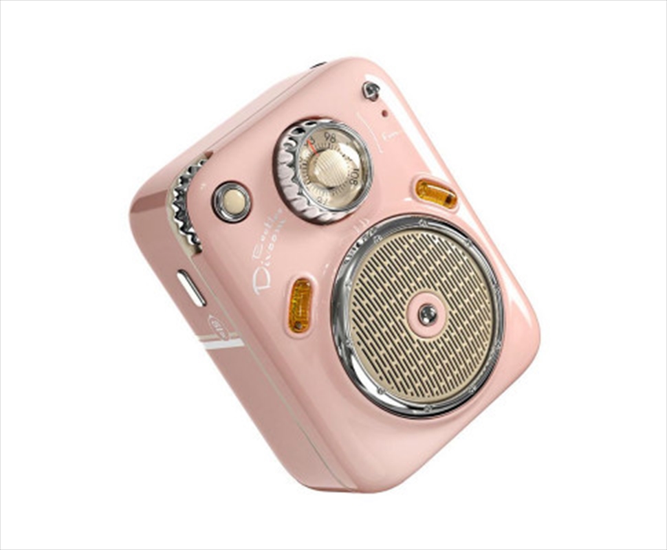 DIVOOM Beetle FM Speaker Pink/Product Detail/Speakers