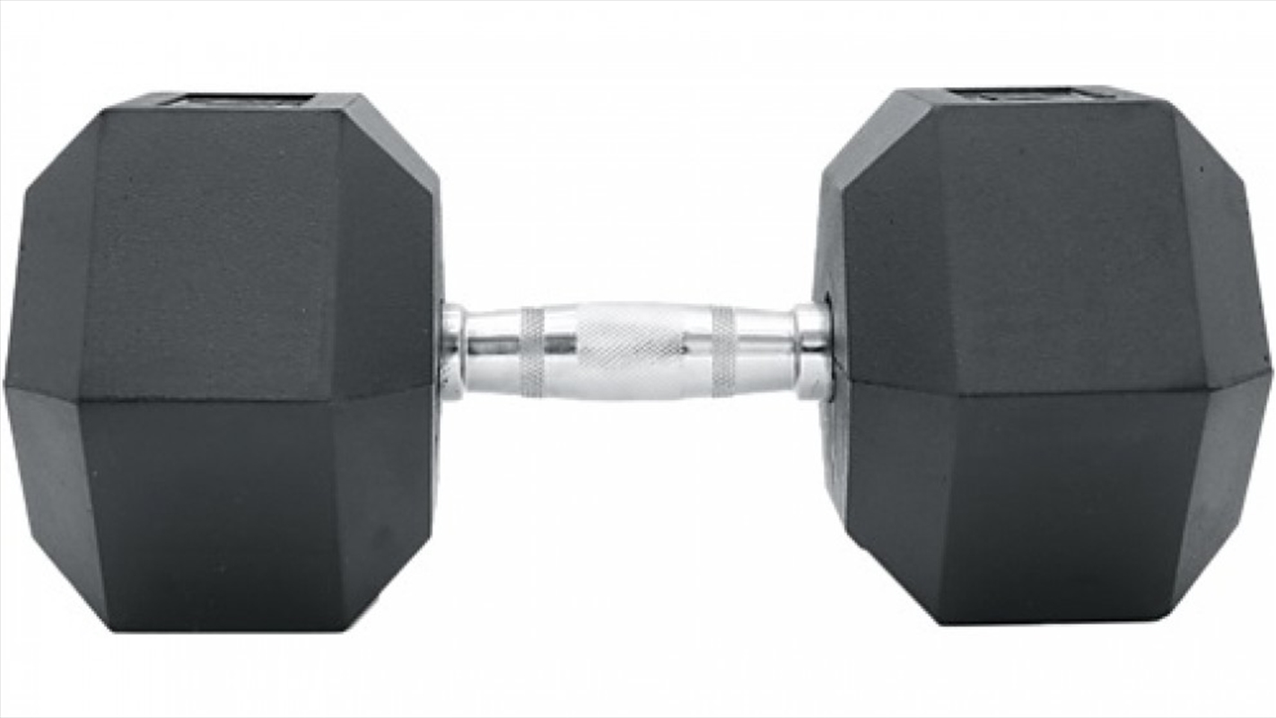 10KG Commercial Rubber Hex Dumbbell Gym Weight/Product Detail/Gym Accessories