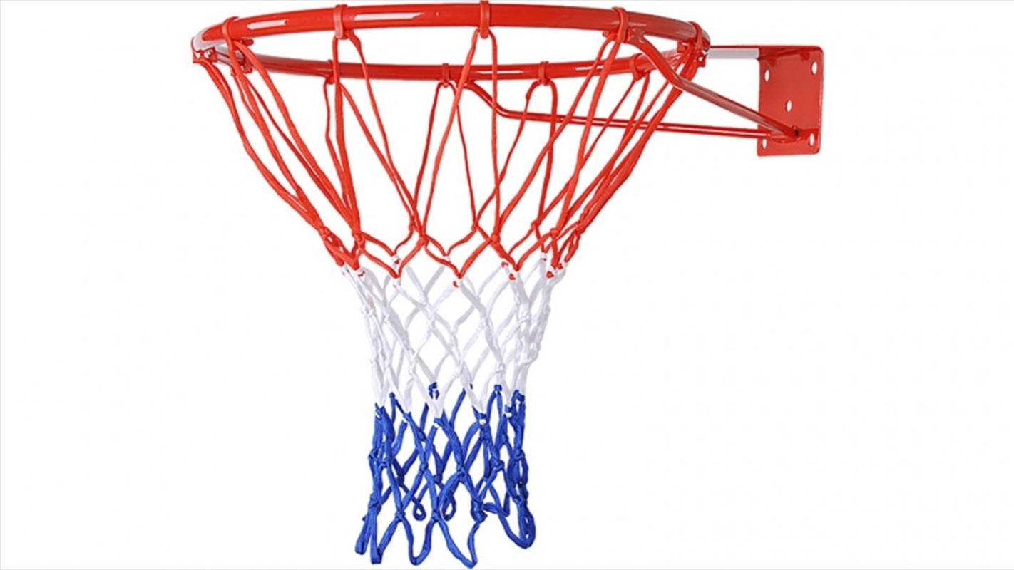 Buy Pro Size Wall Mounted Basketball Hoop Ring Goal Net Rim Dunk