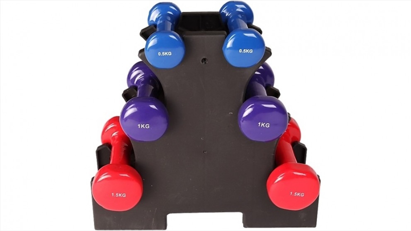 Buy 6Piece Dumbbell Set with Rack Online Sanity