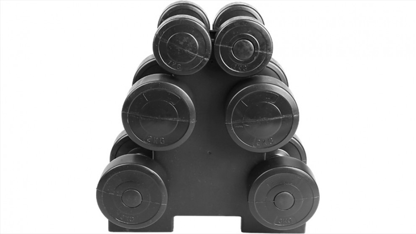 12kg Dumbbell Weights Set/Product Detail/Gym Accessories