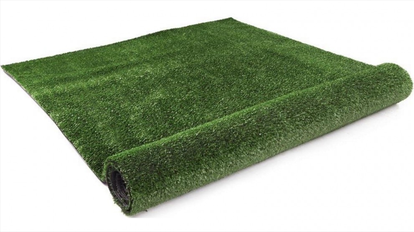1x20m Artificial Grass Synthetic Fake Turf/Product Detail/Sport & Outdoor