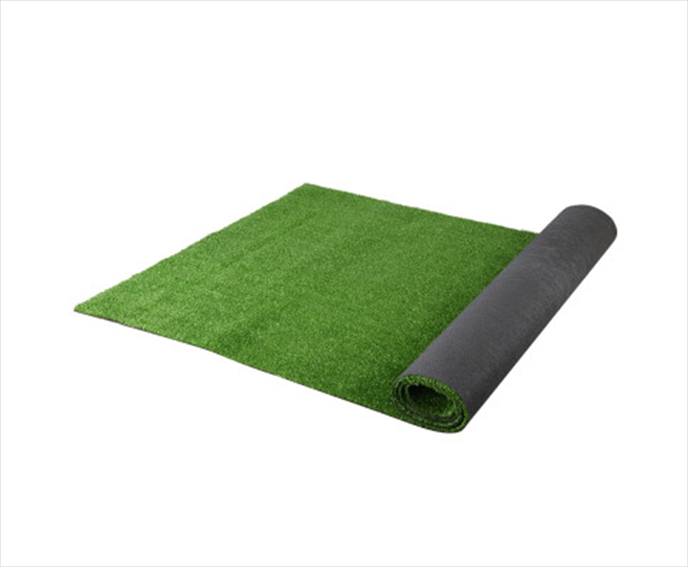 2x10m Artificial Grass Synthetic Fake Turf/Product Detail/Sport & Outdoor
