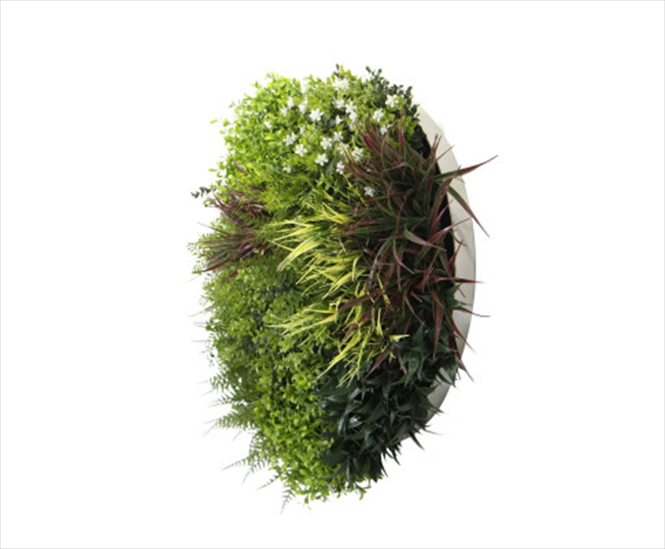 Slimline Disc Art 80cm Green Field/Product Detail/Sport & Outdoor