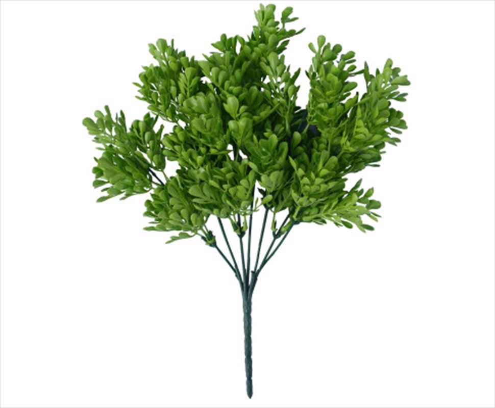 Vivid Green Wide Eucalypts Plant 32cm UV Resistant/Product Detail/Sport & Outdoor