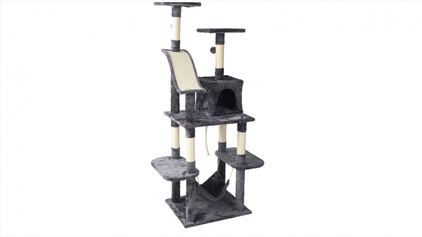 Cat Tree 171cm Scratching Post/Product Detail/Pet Accessories