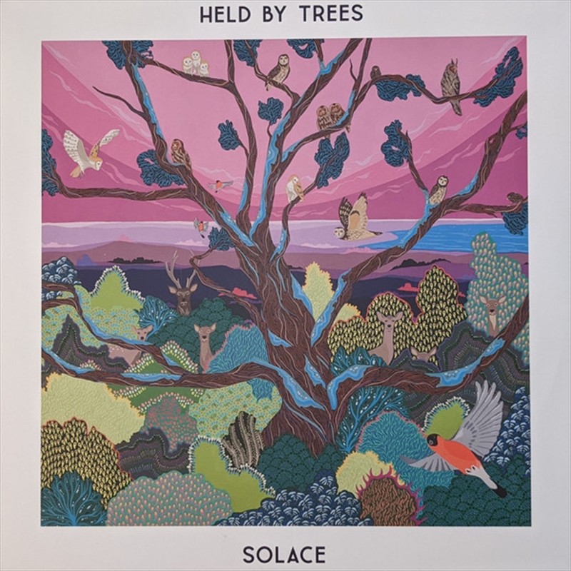 Solace/Product Detail/Rock/Pop