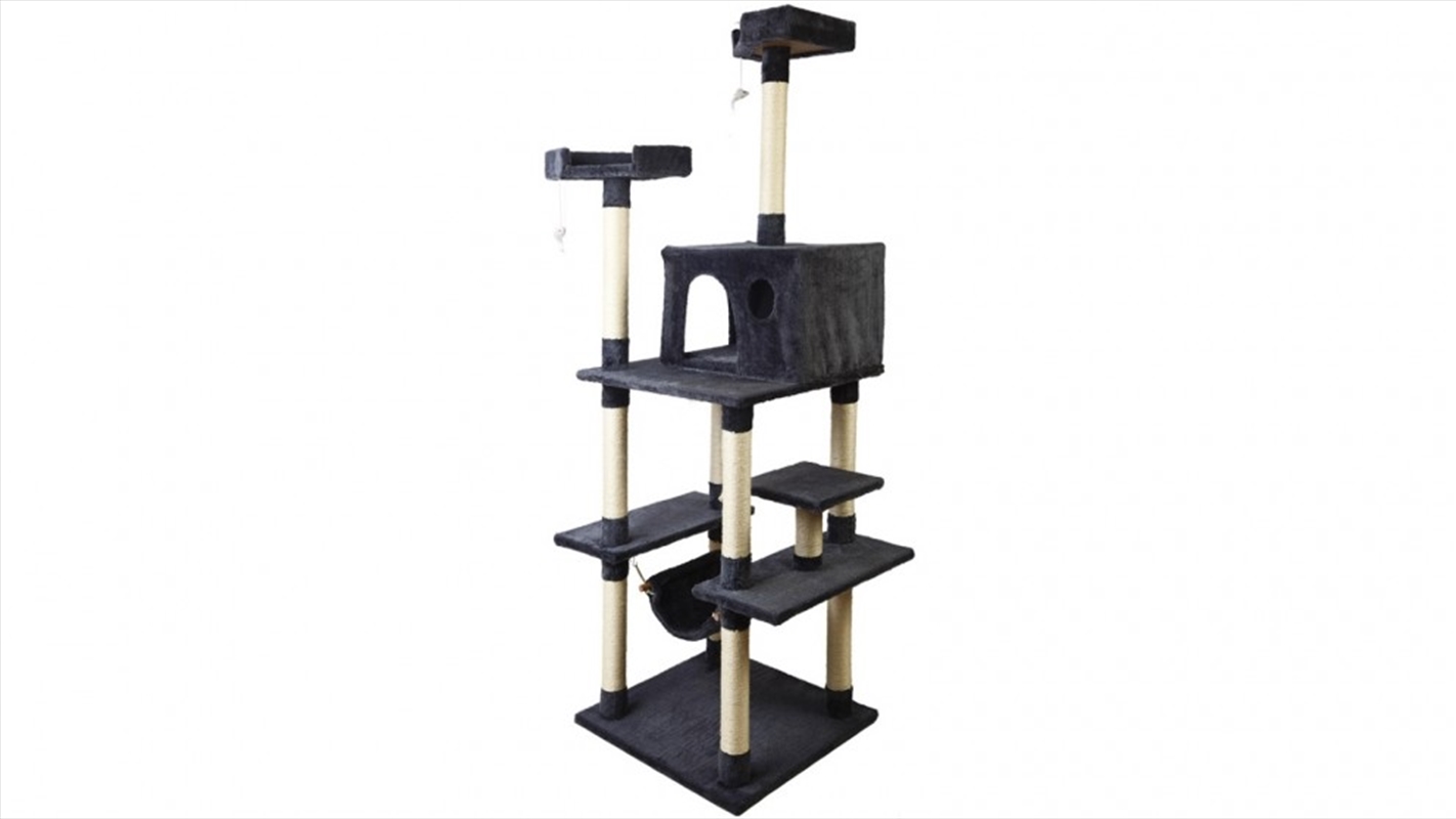 Buy Cat Tree 184cm Scratching Post Online Sanity
