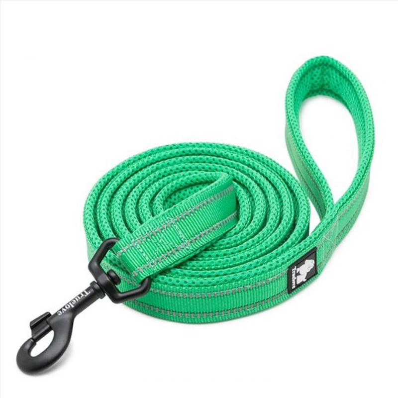 Reflective 2 Meters Green Xs/Product Detail/Pet Accessories