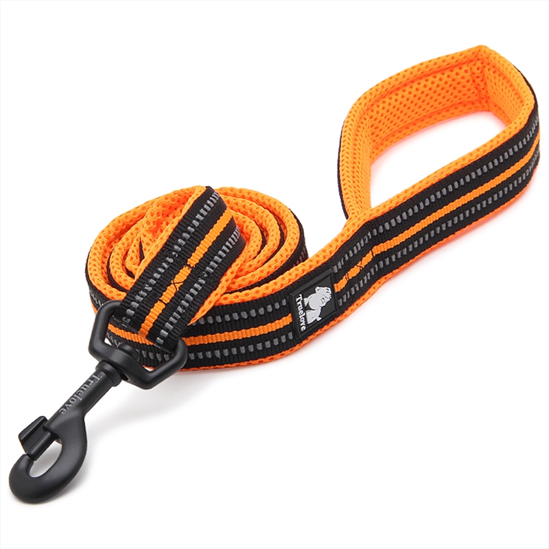 Reflective 2 Meters Orange Xs/Product Detail/Pet Accessories