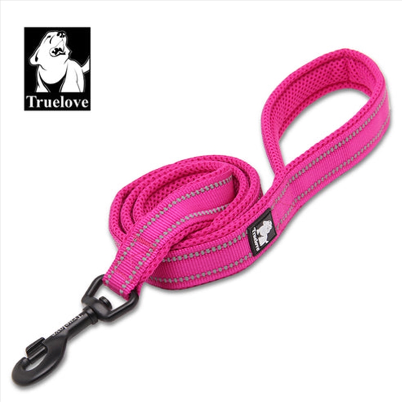 Reflective 2 Meters Pink Xs/Product Detail/Pet Accessories