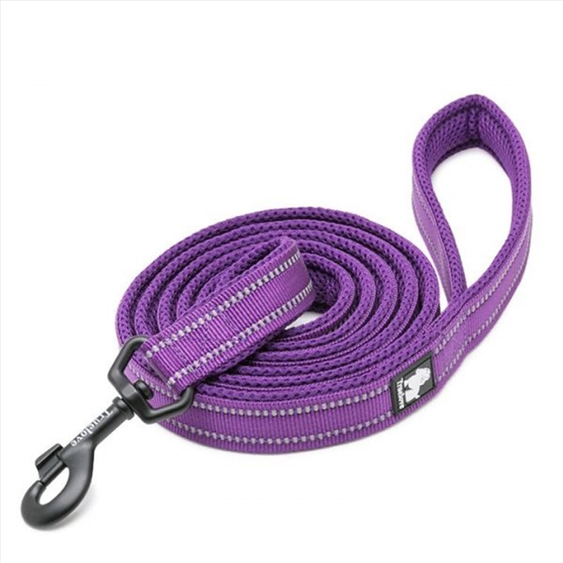 Reflective 2 Meters Purple Xs/Product Detail/Pet Accessories