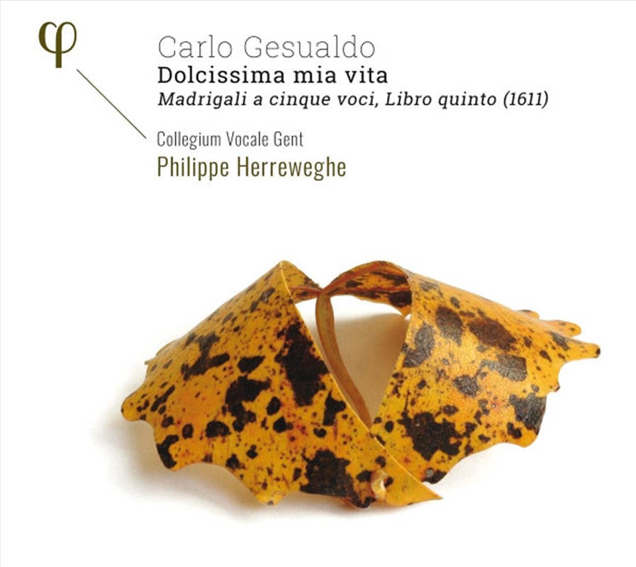 Dolcissima Mia Vita/Product Detail/Classical