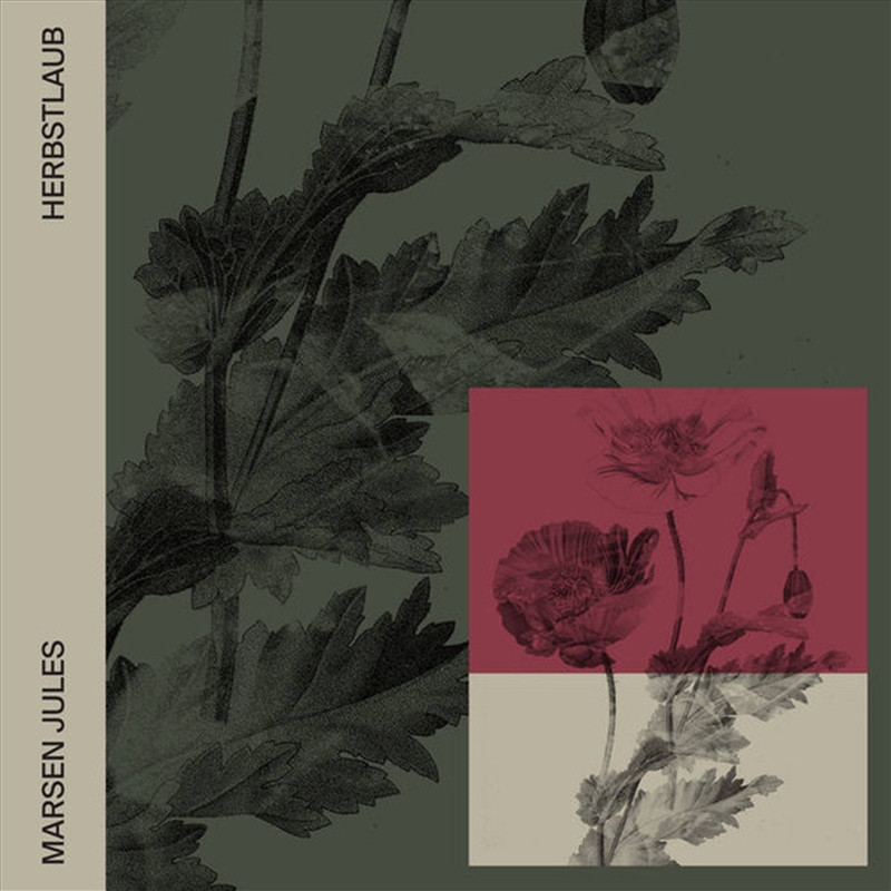 Herbstlaub/Product Detail/Dance