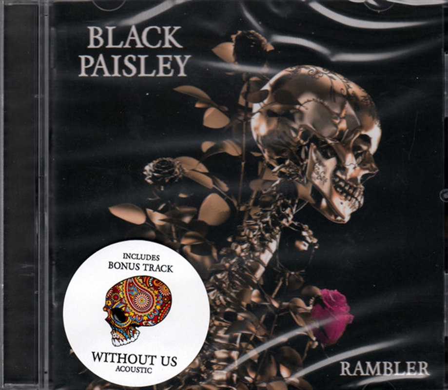 Rambler/Product Detail/Rock/Pop