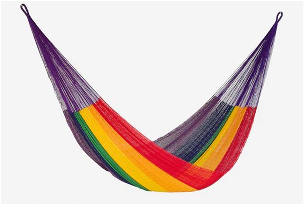 Buy King Cotton Hammock Rainbow Colour Online Sanity