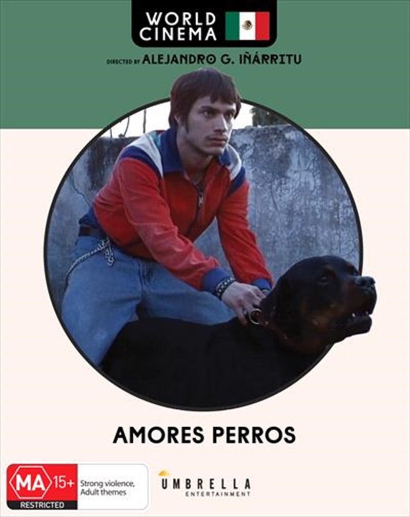 Amores Perros  World Cinema #10/Product Detail/Thriller