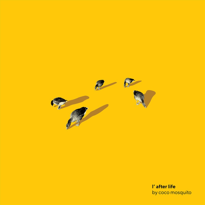 Lafter Life/Product Detail/Dance