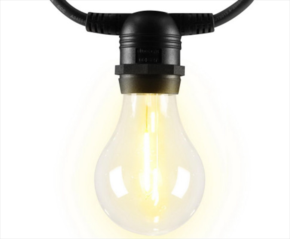 41m Led Festoon String Lights/Product Detail/Party