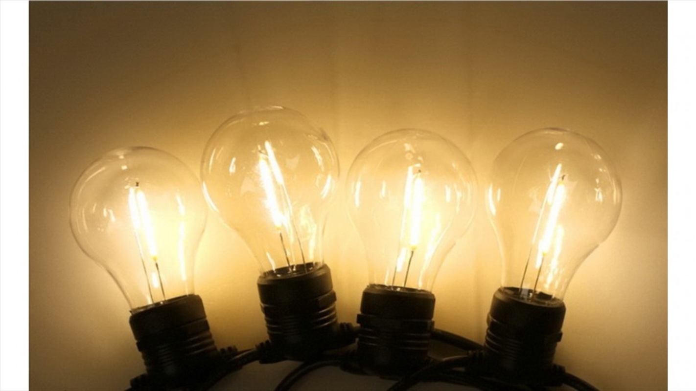 50m Led Festoon String Lights - Warm White/Product Detail/Party