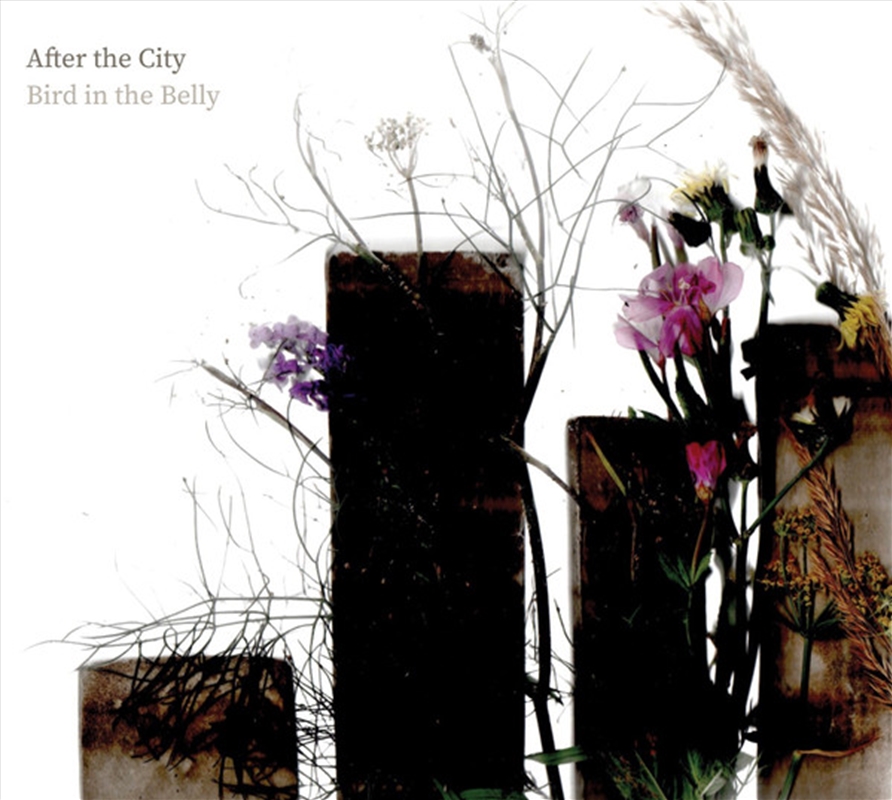 After The City/Product Detail/Rock/Pop