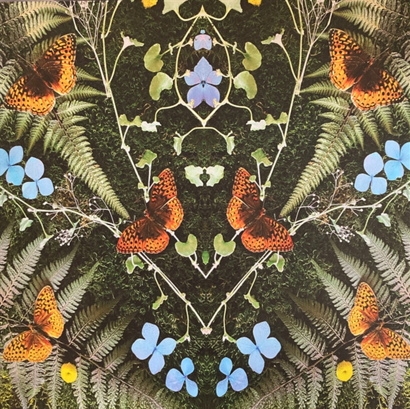 Aubades/Product Detail/Rock/Pop