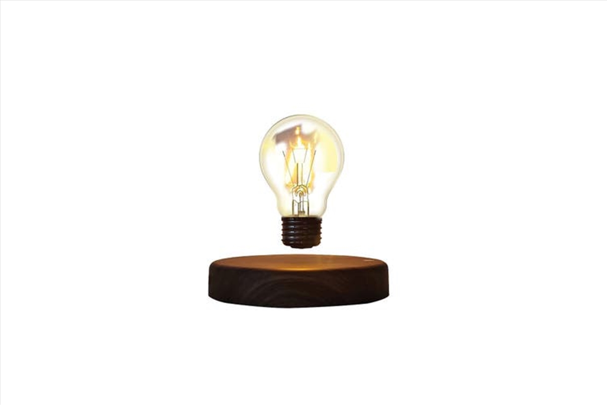 Magnetic Levitating Spin LED Light Bulb Home Decor Floating Desk Lamp/Product Detail/Table Lamps