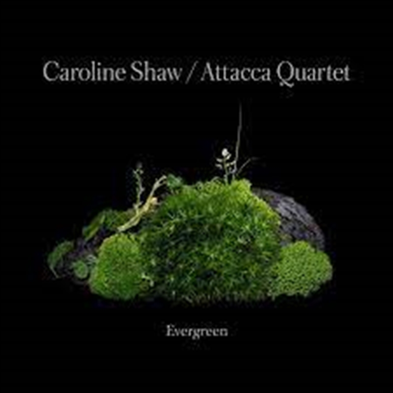 Caroline Shaw - Evergreen/Product Detail/Classical