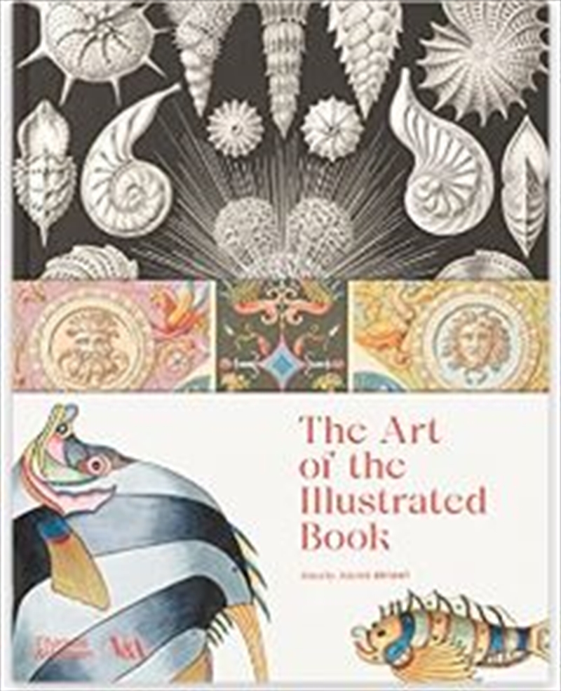 Art Of Illustrated Book/Product Detail/Arts & Entertainment