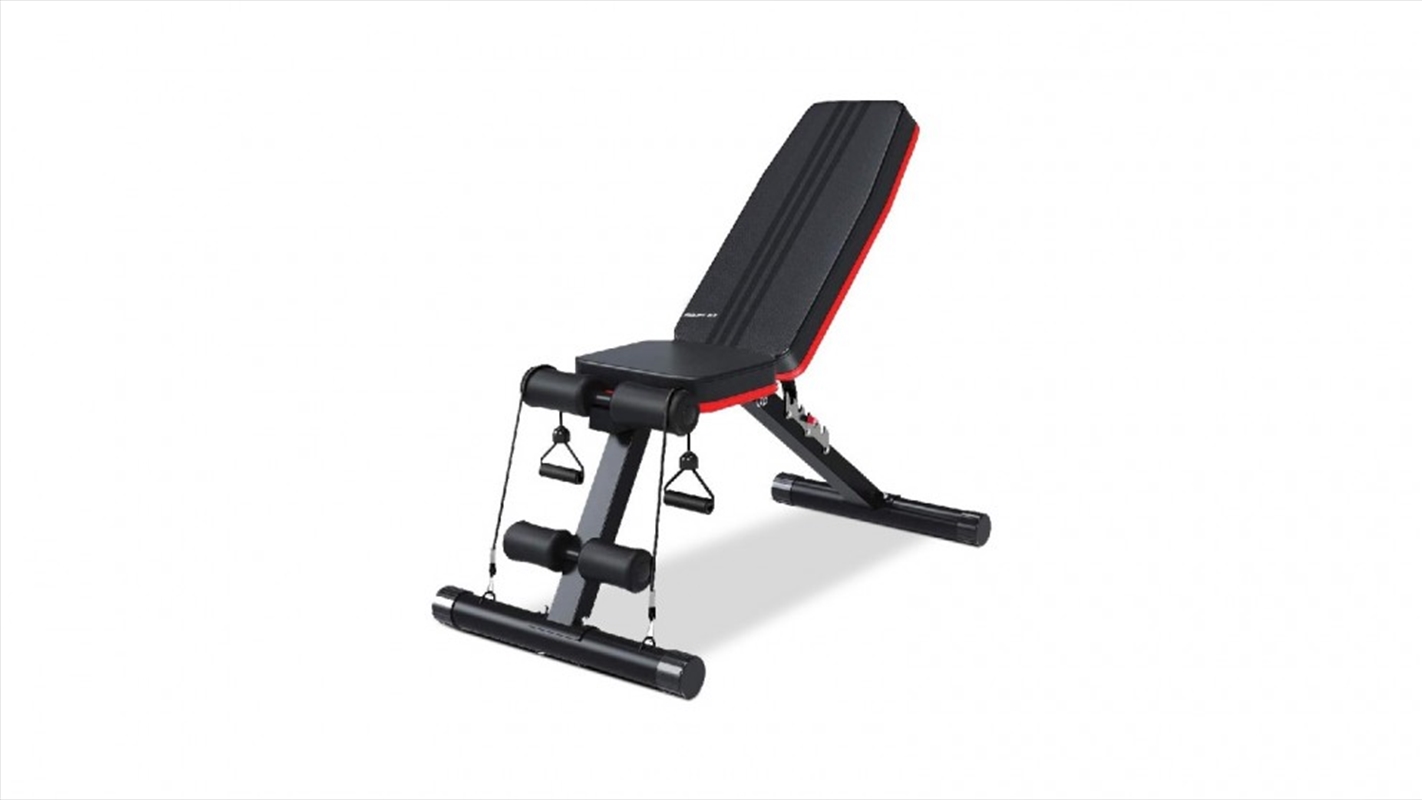 Weight Bench Adjustable Lifting Fitness Folding Bands/Product Detail/Gym Accessories