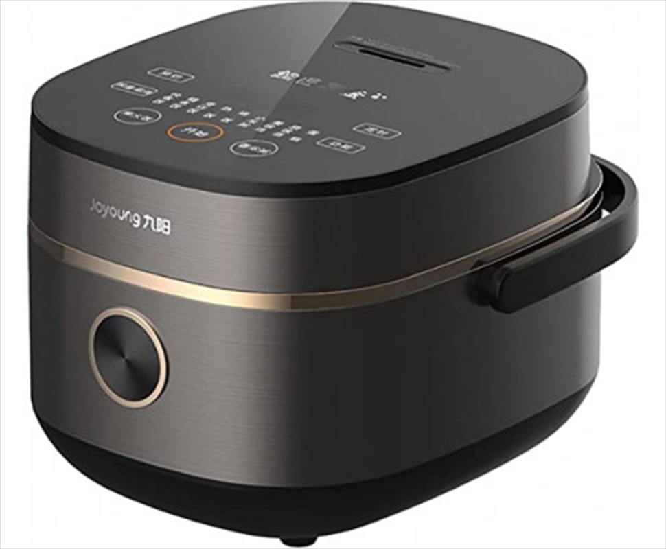 Buy Mini Rice Cooker 2L 13 People Online Sanity