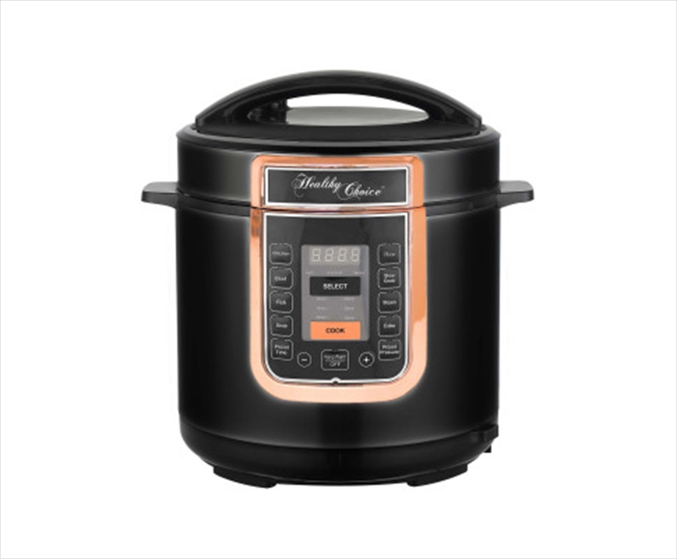 6l Electric Slow/Pressure Cook/Product Detail/Appliances