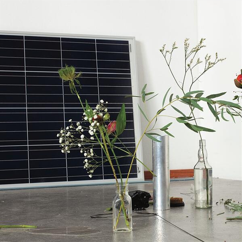 Still Lives/Product Detail/Dance