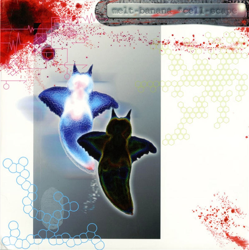 Cell Scape/Product Detail/Rock