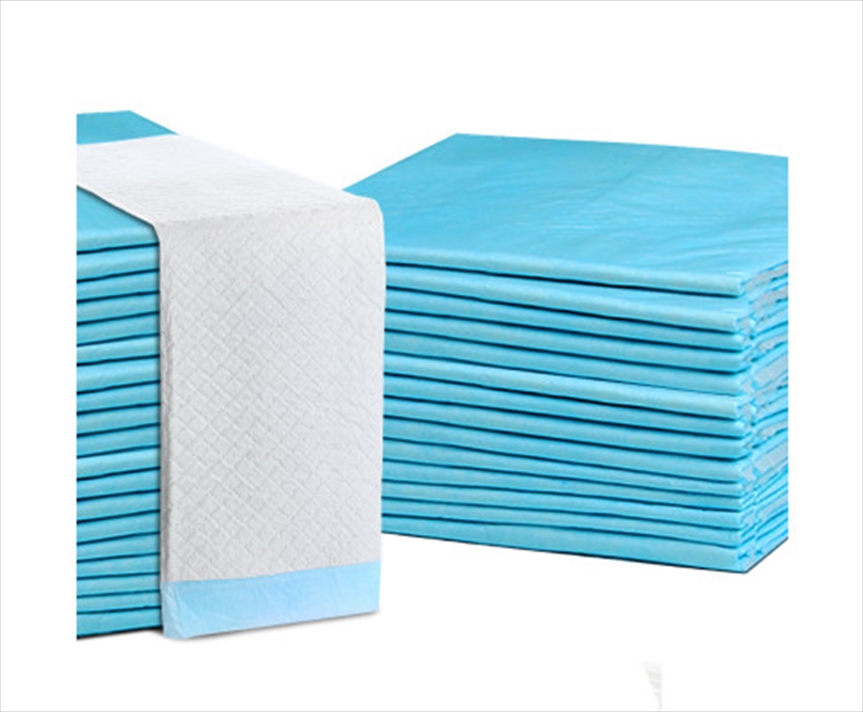 Buy 400pcs Puppy Training Pads 60 X 60cm Online Sanity