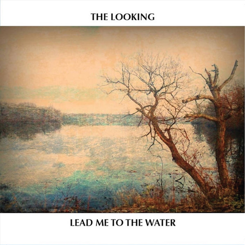 Lead Me To The Water/Product Detail/Rock