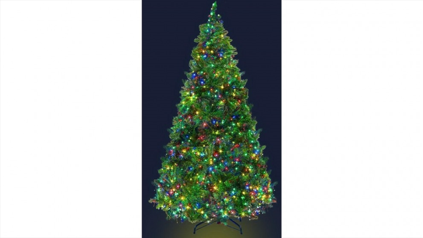 Buy 7ft Christmas Tree LED Lights Warm White Online Sanity 7.5 Christmas Tree Led Lights