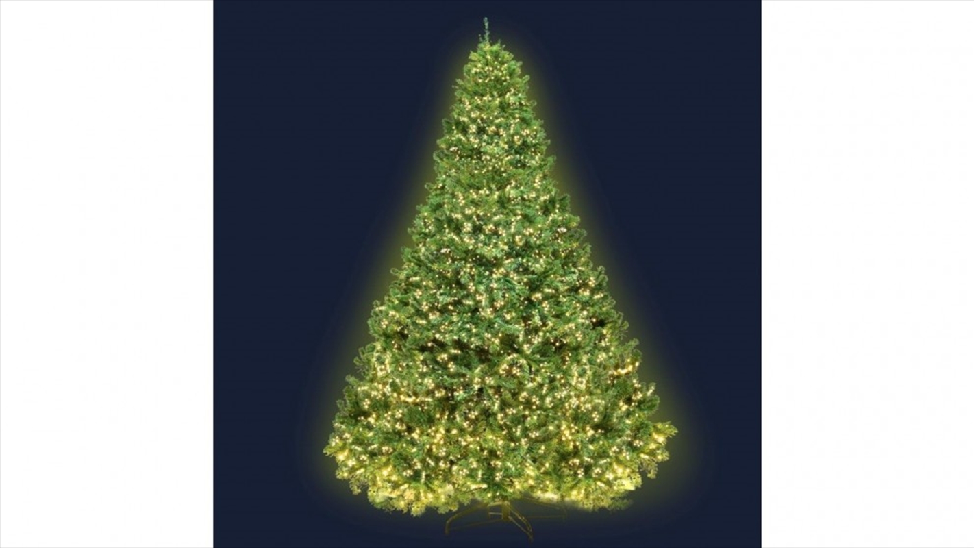8ft Christmas Tree 3190 LED Lights - Warm White/Product Detail/Party