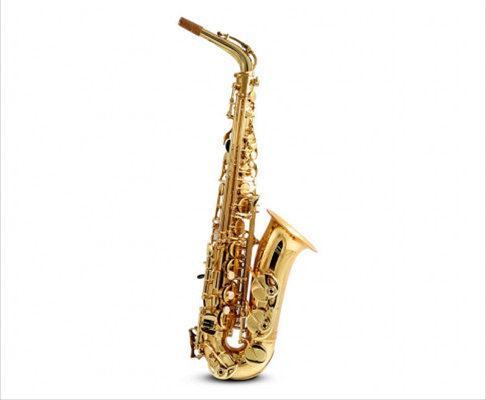 E Flat Alto Saxophone Brass Body/Product Detail/Musical Instruments