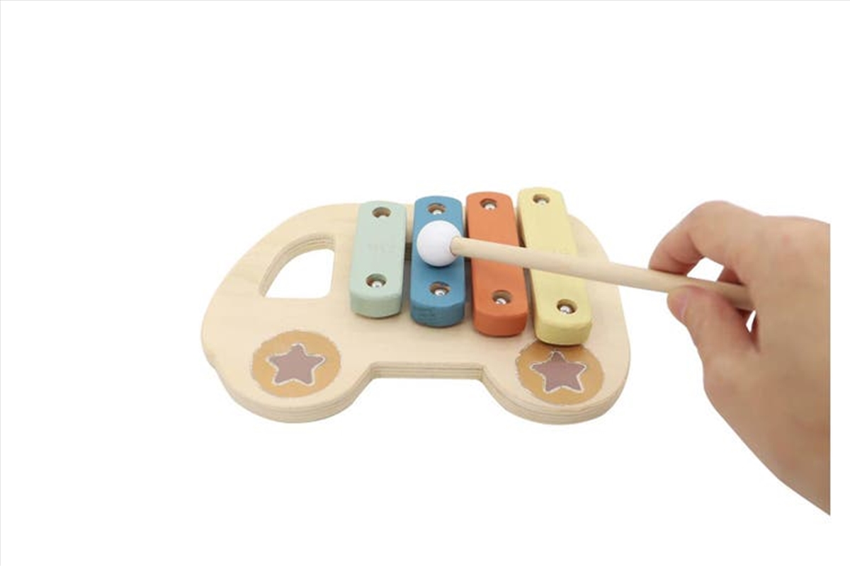 Buy Baby Xylophone Car Online Sanity