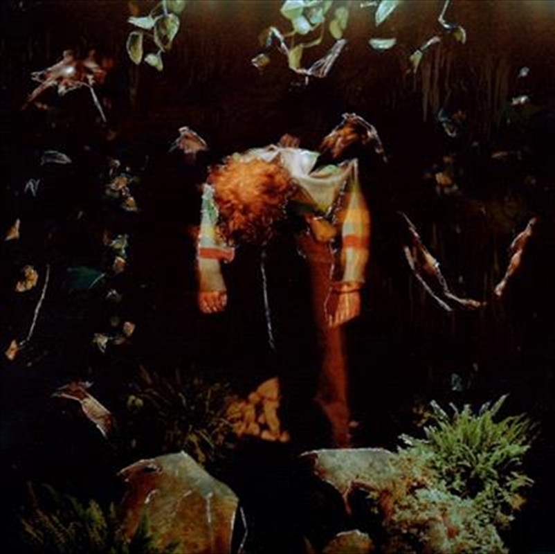 Worm Food/Product Detail/Alternative