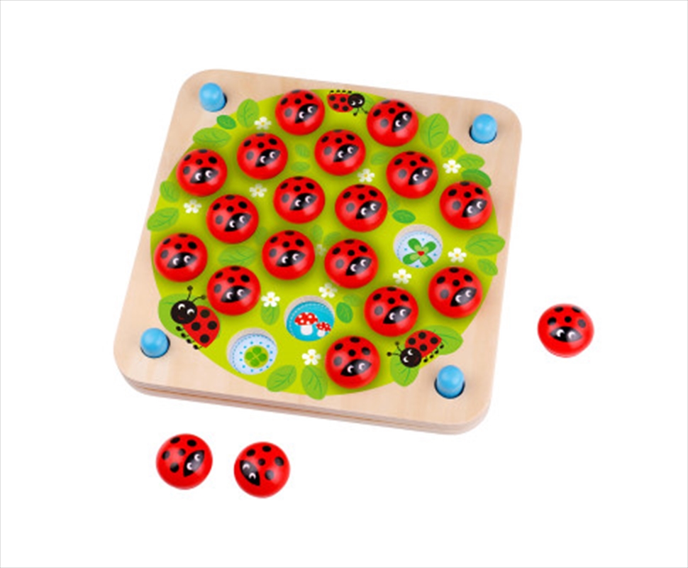 Ladybug Memory Game/Product Detail/Games