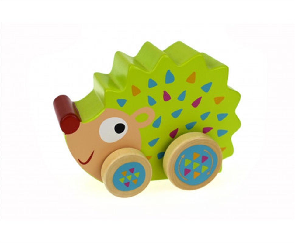 Buy Echidna Wind N Walk Music Box Online Sanity