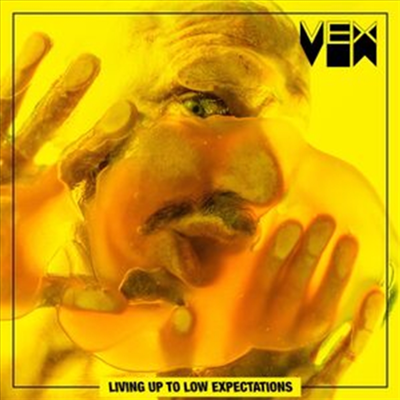 Living Up To Low Expectations/Product Detail/Rock/Pop
