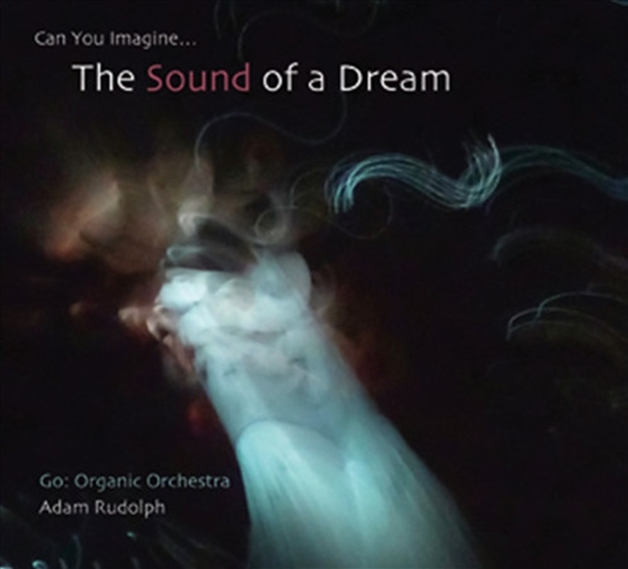 Go - Organic Orchestra - Can Yo/Product Detail/Jazz