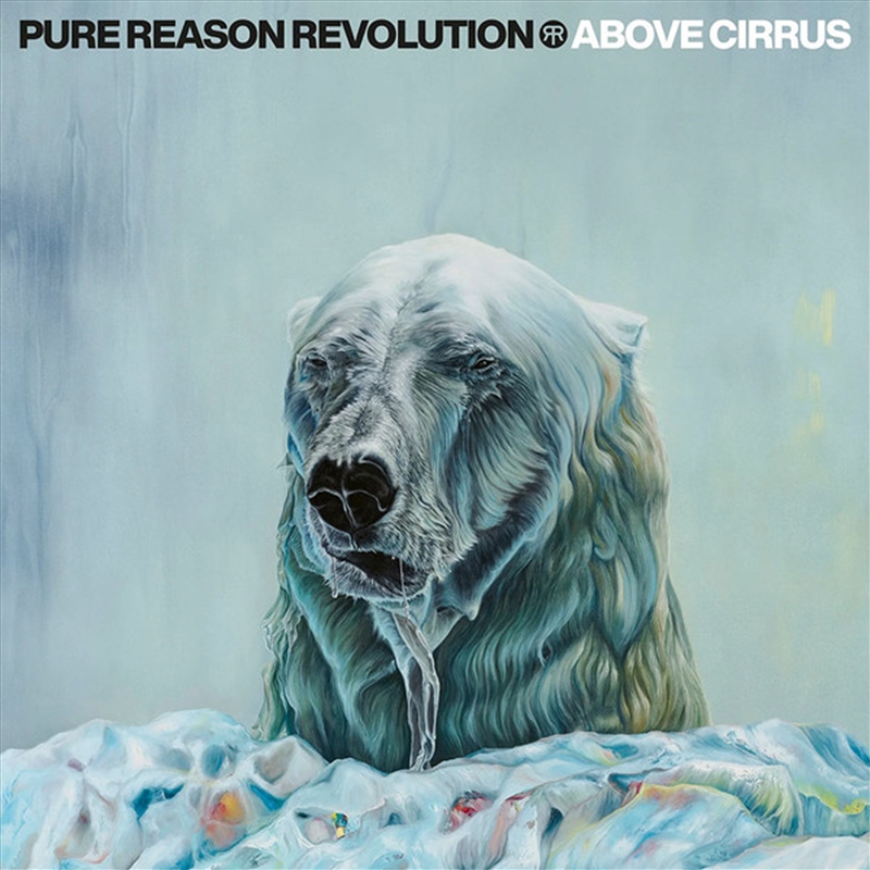 Above Cirrus/Product Detail/Rock/Pop